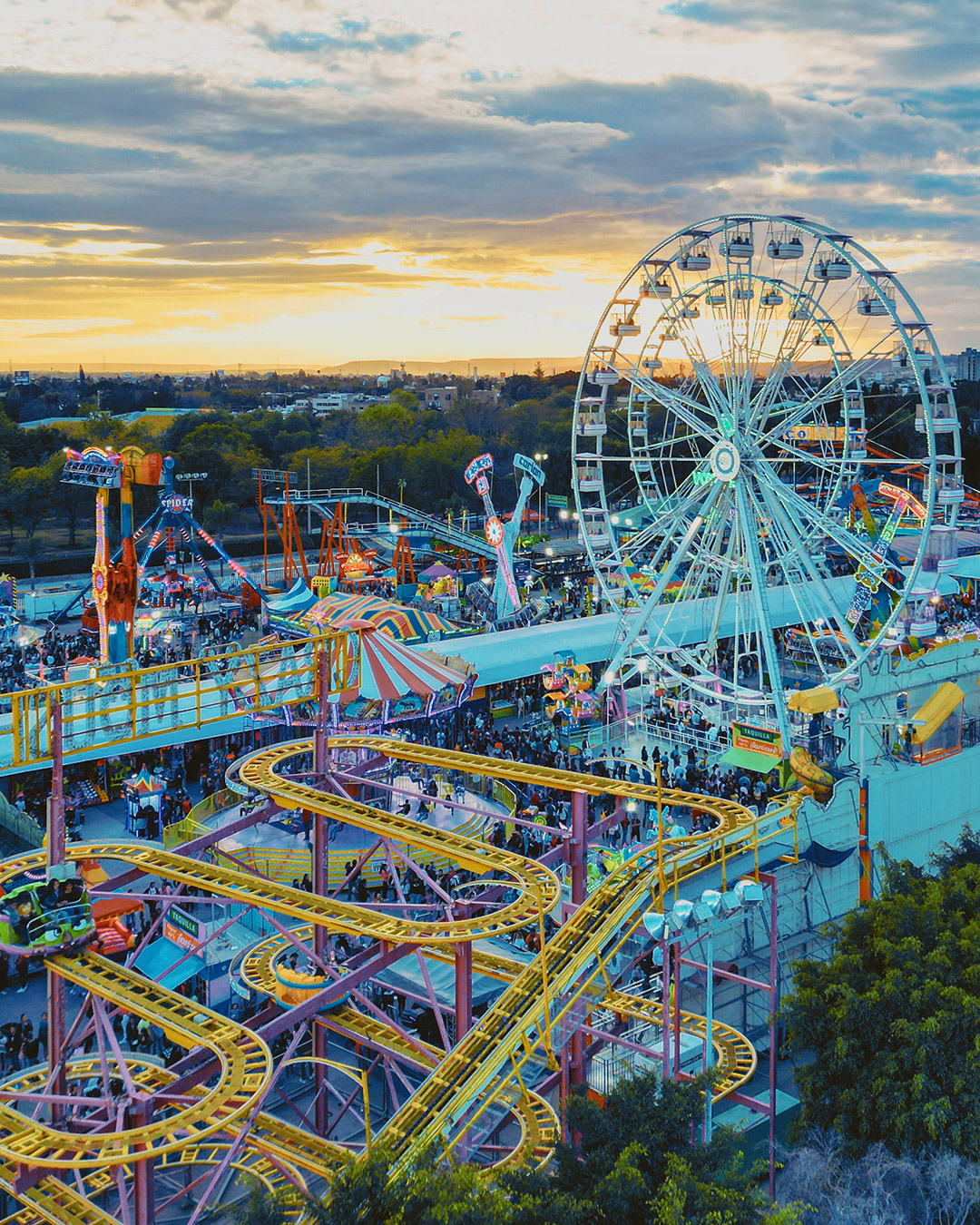 Imagen: pages/imgGaleria/Feria_20251201_151735.jpg